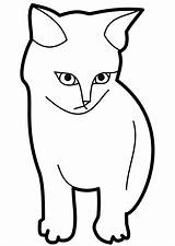 Cat Outline Clipart Coloring Kitten Pages Printable Face Template Drawing Sitting Clip Kitty Nose Cliparts Kids Coloring4free Simple Color Easy sketch template