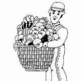 Coloring Fruit Basket Man Vegetables Pages Vegetable Surfnetkids Fruits sketch template