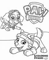 Everest Paw Patrol Skye Pups Tracker Getdrawings Southwestdanceacademy Malvorlagen Ryder sketch template