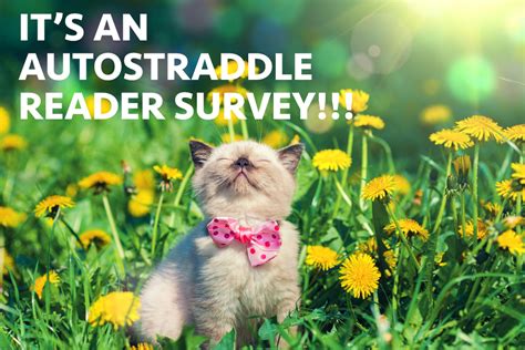 Autostraddle Reader Survey 2016 We Wanna Know All About