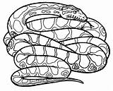 Anaconda Snake Coloring Pages Draw Animals Drawings Drawing Rainforest Tropical Snakes Color Print Eyes Green Kids Printable Diamondback Rattlesnake Alligator sketch template