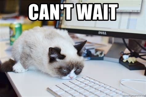 Can T Wait Grumpy Cat At Work Meme Generator