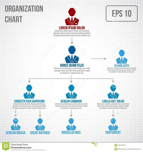 Organizational Chart Infographic Stock Vector Image