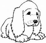 Spaniel Coloring Pages King Charles Color Cocker Getdrawings Cavalier sketch template