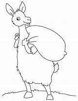 Llama Coloring Fun Pages sketch template