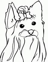Yorkie Coloring Pages Books Categories Similar sketch template