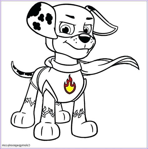 gallery  paw patrol marshall coloring page