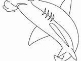 Coloring Shark Pages Hammerhead Goblin Mako Sharks Getcolorings Getdrawings Colorings Great sketch template