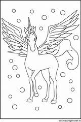 Malvorlagen Einhorn Pegasus Ausdrucken Ausmalen Kostenlos Malvorlage Pferd Feen Erwachsene Blumen Drucken Pferde Colorear Elfen Coloring Malvorlagengratis Unicornios Pegaso Flügel sketch template