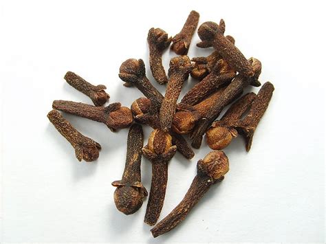 clove cultivation planting care harvesting guide agri farming