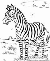 Coloring Pages Printable Zebra Animal Zoo Wild Animals Little Kids Print Cute Printables sketch template