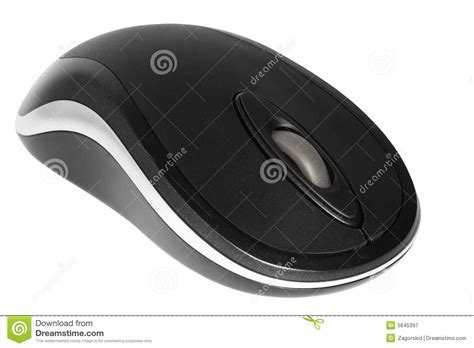 muis stock afbeelding image  wiel knoop draadloos