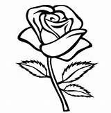 Rose Coloring Bud Pages Getcolorings sketch template