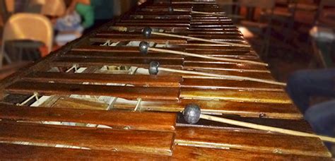 marimba awakens  soul    carefully listens