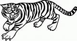 Tiger Ausmalen Kinderbilder Ausmalbilder Malvorlagen sketch template