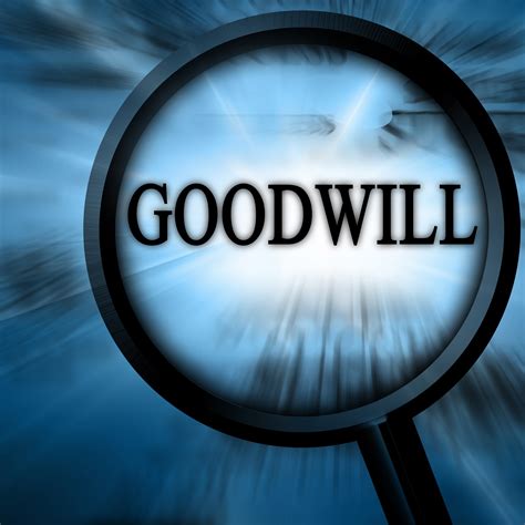 allocation  goodwill  business  personal florida business