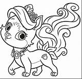 Coloring Pages Puppy Princess Cute Pomeranian Dog Duke Kids Pets Color Printable Pet Bubakids Print Animals Getcolorings Colouring Relation Thousands sketch template