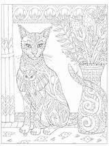 Coloring 5x11 Pages Choose Board 11x17 Nice Print Just Will Cat sketch template