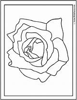 Coloring Rose Simple Pages Color Name Printable Other Any Template Pdf Kids Printables Colorwithfuzzy sketch template