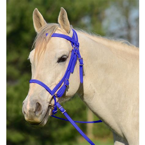 shop english bridle  cavesson  horses   horse tack