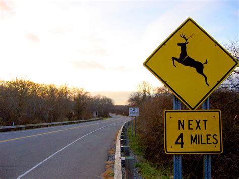 deer crossing sign