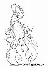 Lobster Coloring Sheet sketch template