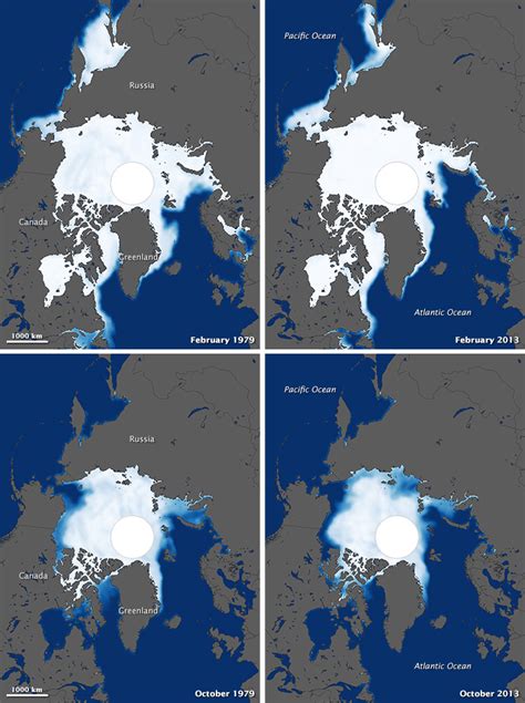 antarctic gains global sea ice  shrinking
