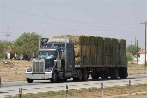 kenworth  hauling square bales  hay  flatbed trail flickr