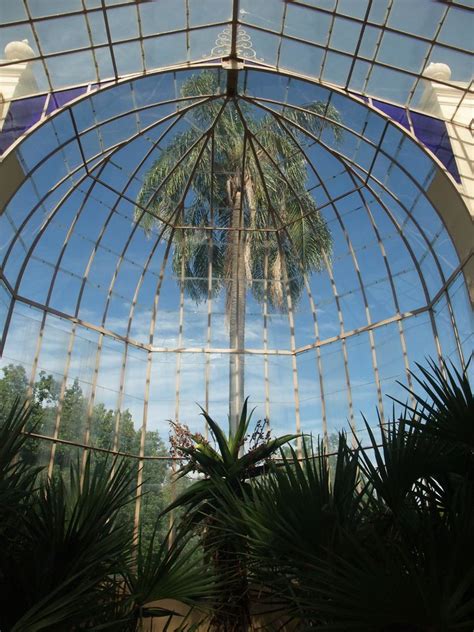 palm house  adelaide botanic garden south austra flickr