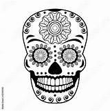 Messicano Skull Teschio Mexican Illustration Vettoriale Vettoriali Contenuti Bozzetto Simili Scarica sketch template