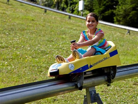 überzeugen Eisen Auf Besichtigungstour Gehen Bled Roller Coaster