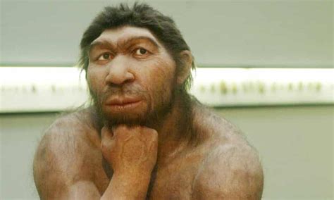 Human Neanderthal Relationships May Be At Root Of Modern Allergies