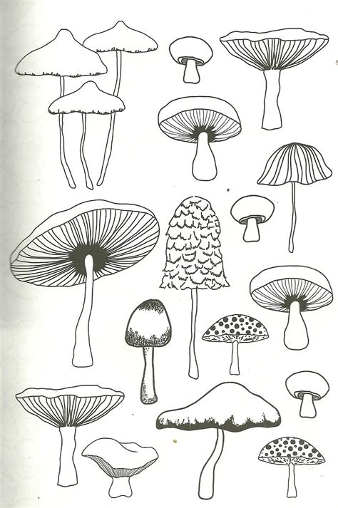 mushroom coloring page  adults  art drawings mushroom drawing