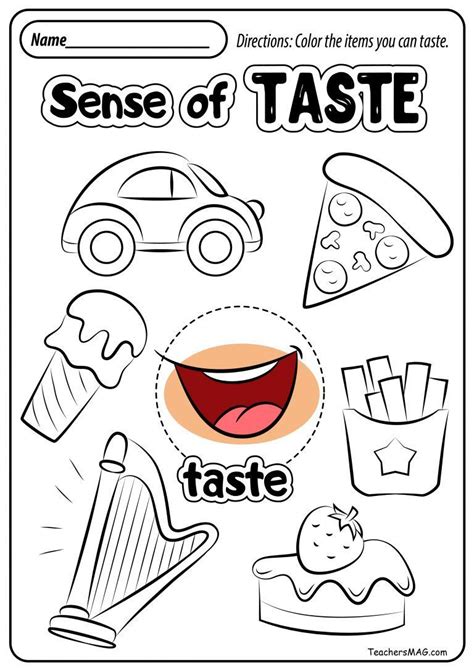 printable  senses worksheet preschoolplanet  senses match