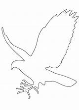 Outline Falcon Coloring Pages Hawk Bird Kids Clipart Draw Printable Silhouette Template Drawings Birds Cliparts Kindergarten Colouring Templates Color Preschool sketch template