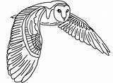 Owl Flying Barn Coloring Pages Drawing Cartoon Printable Realistic Tawny Eule Owls Schleiereule Malvorlage Color Getdrawings Gemerkt Von Coloringpages Vorlage sketch template