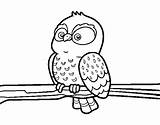 Owl Branch Coloring Coloringcrew sketch template
