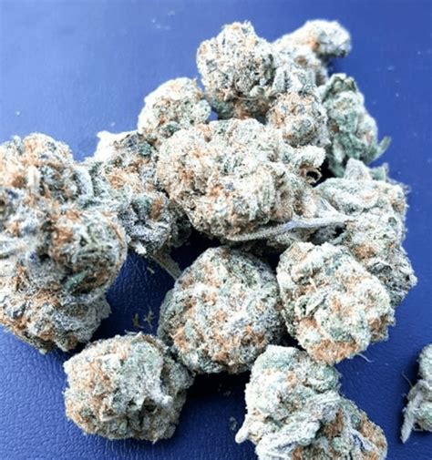 mail order larry og marijuana strain weed castmed uk