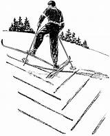 Skiing Uphill Herringbone Coloring Going Cross Country Duck Skier Hill Edupics Zwicky Arnold sketch template