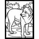 Coloring Pages Howling Wolf Moon Animals Wildlife Bunny Real sketch template