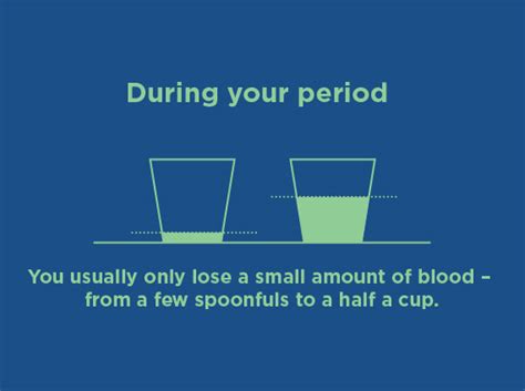 Your Period Sex And U