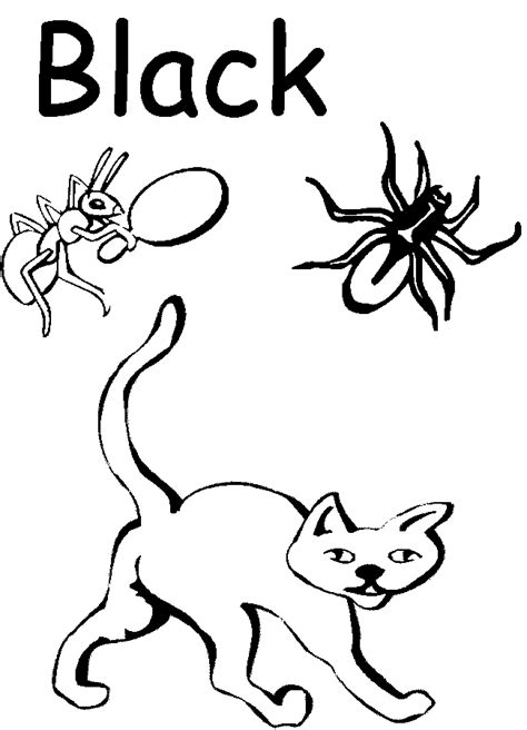 colors coloring pages  preschool google search colors week