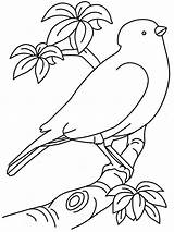 Birds Colouring Drawing Coloring Printable Getdrawings sketch template
