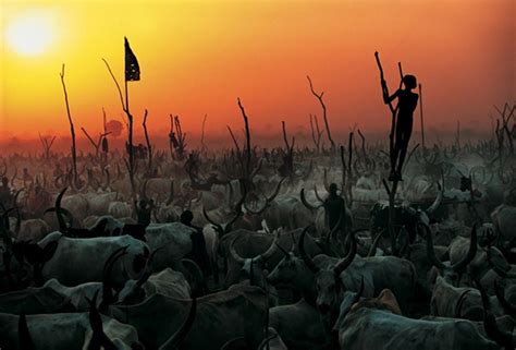 trip  memory lane dinka people  great cattle herders  sudan