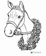 Horse Coloring Pages Race Winner sketch template