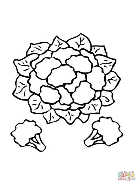 cauliflower coloring page  printable coloring pages