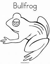 Coloring Bullfrog Tadpole Frog Frogs Pages Printable Hibernate Getcolorings Color Noodle Twistynoodle Drawings Outline 76kb sketch template