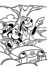 Coloring Mickey Safari Pages Mouse Goofy Thanksgiving Drawing African Color Bulk Getcolorings Getdrawings sketch template