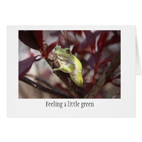 Frog Get Well Card Zazzle
