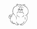 Chow Coloring Coloringcrew sketch template